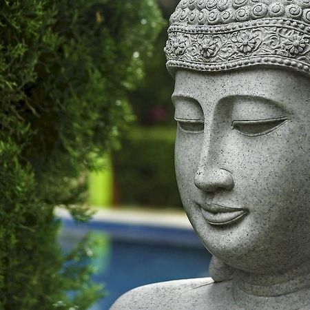 Casa Domingo Hotel Petit Miacatlán Екстериор снимка