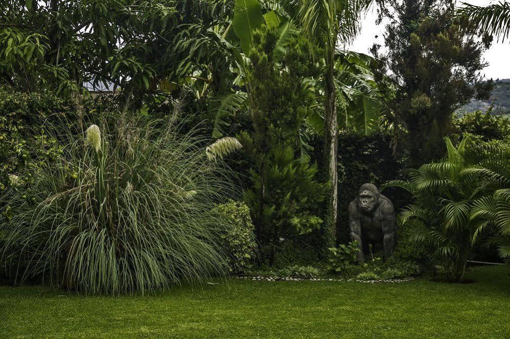 Casa Domingo Hotel Petit Miacatlán Екстериор снимка